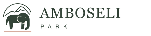 Amboseli Park