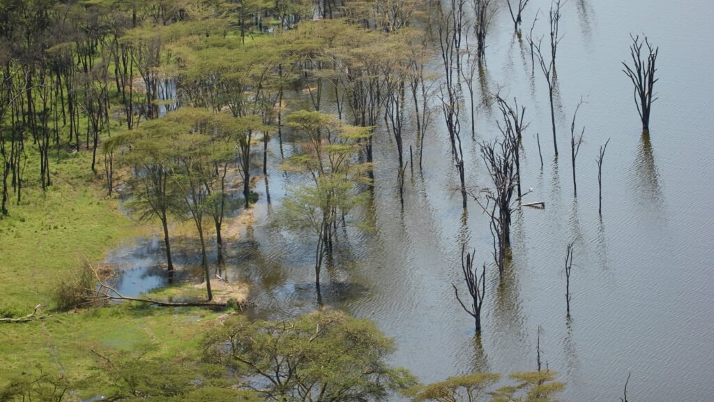 Lake Nakuru and its surrounding landscape
