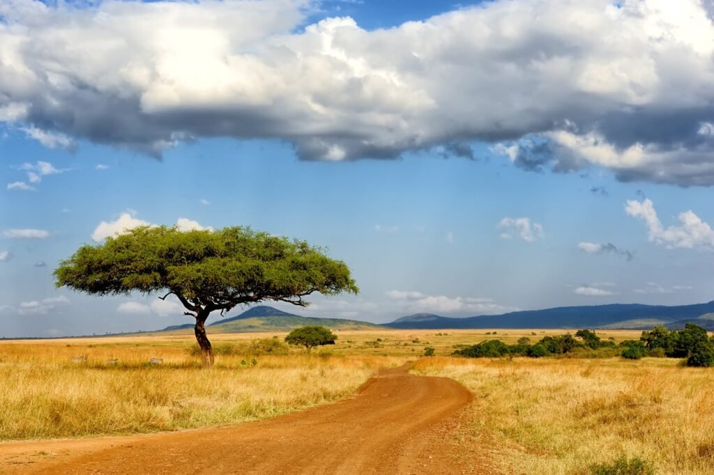 Open savannah in the Masai Mara