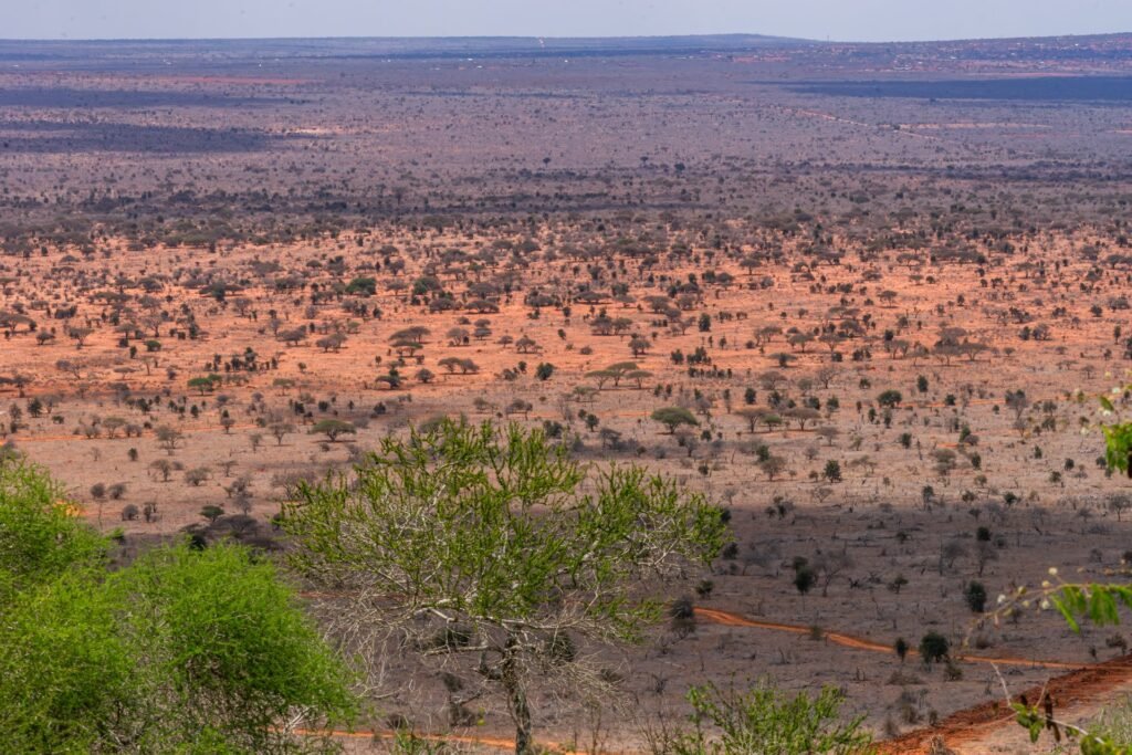 A broad landscape view across Tsavo West National Park